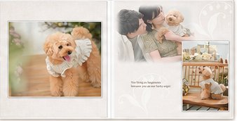 ショコラアルバム（2面5カット）見本
